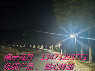 太阳能路灯,太阳能路灯市场